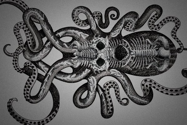 Kraken tor song